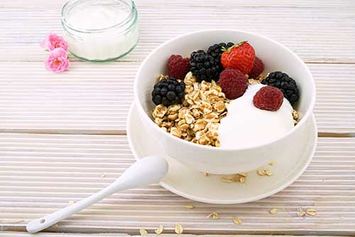 eHowdy good mood probiotics Greek yogurt