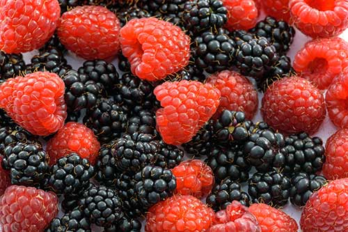 Black raspberries reduce asthma symptoms