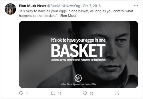 Elon Musk eggs in one basket organized example